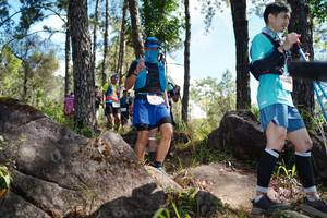 BIB: 
                            <button type="button" onclick="openModal(18915431)" class="btn btn-primary btn-sm float-right btn-popup" data-toggle="modal" data-target=".modal-high-quality">
                        <i class="fas fa-shopping-cart"></i> Add to Cart
                    </button>
                                            <button type="button" onclick="isThisMe(18915431, true)" class="btn btn-success btn-sm float-right btn-popup btn-isme hidden" data-toggle="tooltip" data-placement="bottom" title="นี่คือรูปของคุณใช่ไหม คลิกที่นี่เพื่อเอาเข้าอัลบั้ม">
                        <i class="fas fa-plus"></i> Add to album
                    </button>
                    <button type="button" onclick="isThisMe(18915431, false)" class="btn btn-warning btn-sm float-right btn-popup btn-isnotme hidden">
                        <i class="fas fa-ban"></i> Remove from album
                    </button>